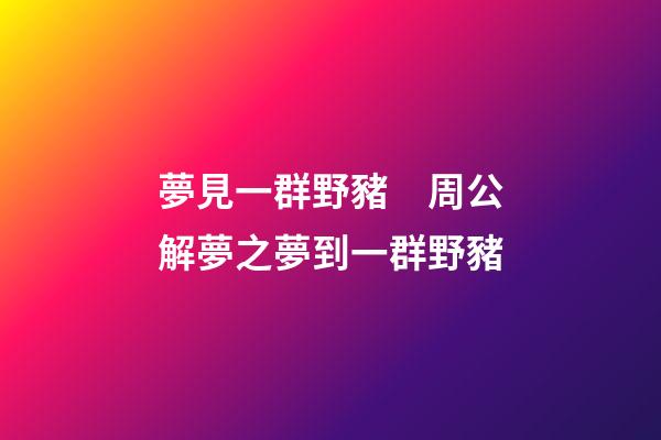 夢見一群野豬　周公解夢之夢到一群野豬